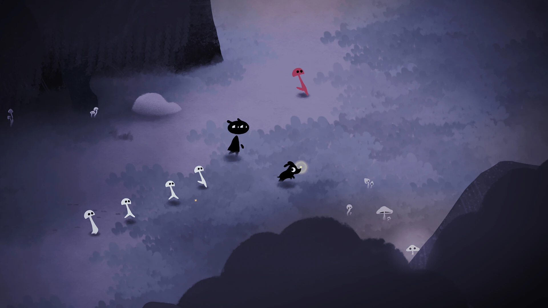 Koira - Studio Tolima